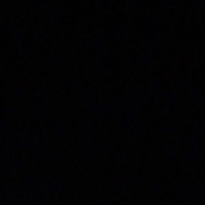 Meet your Posher, Shamar